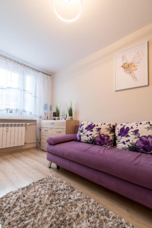 Cichy Zakatek Apartment Zakopane Luaran gambar