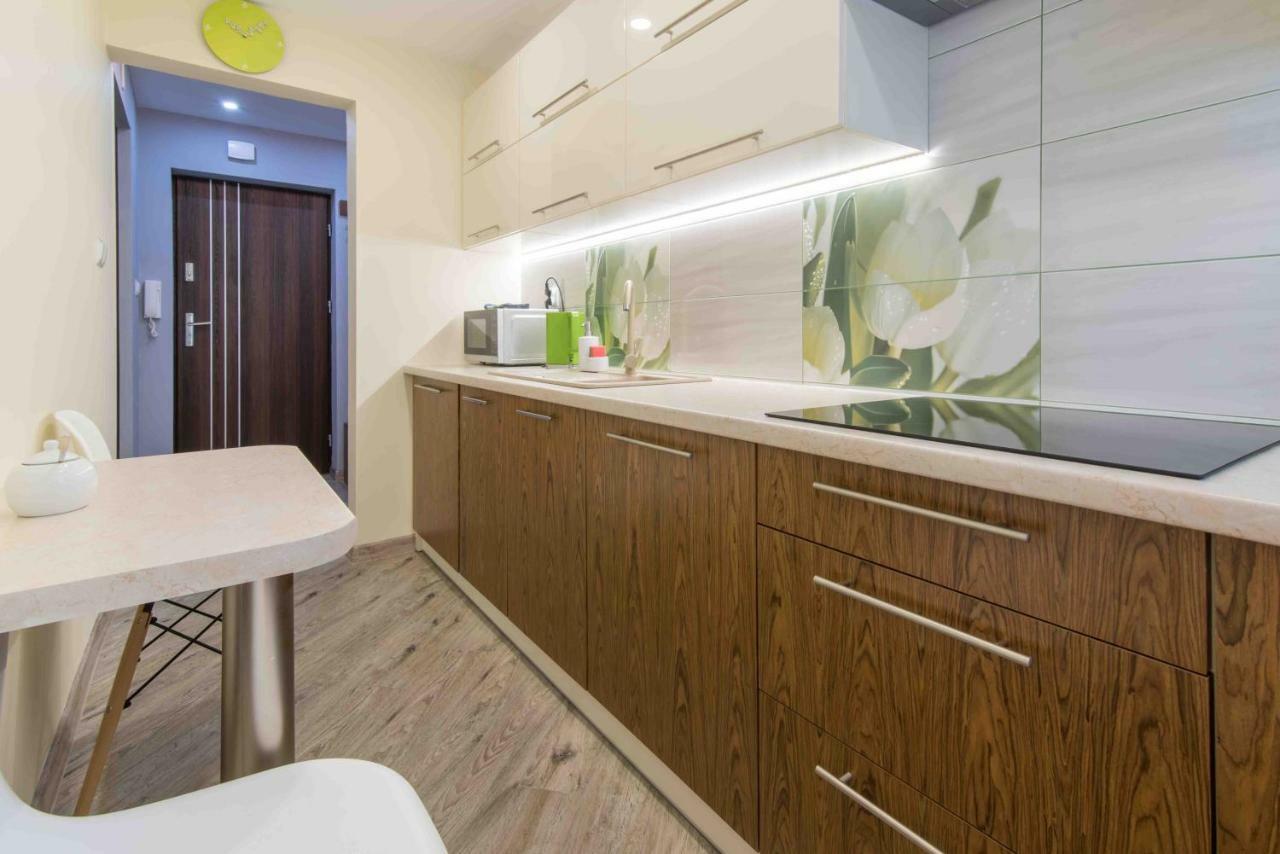 Cichy Zakatek Apartment Zakopane Luaran gambar